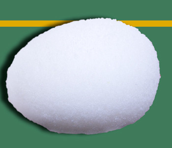 Sponge Egg - Goshman