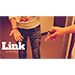 Link by Hui Zheng - Video DOWNLOAD