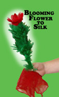 Blooming Flower to Silk