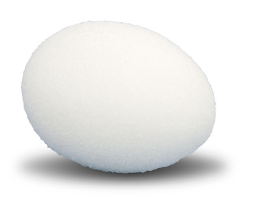 Sponge Egg - White
