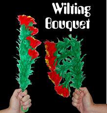 Wilting Bouquet of 4 Flowers