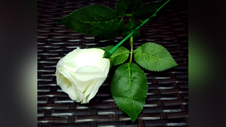 Rose Light set RED by JL Magic - Trick