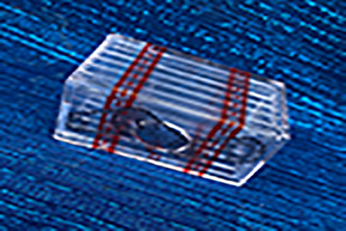 Treasure Box