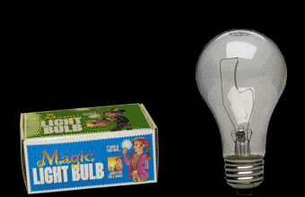 Magic Light Bulb, Each