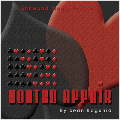 Sorted Affair (2013) by Sean Bogunia