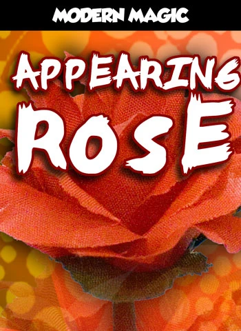 Appearing Rose - Modern