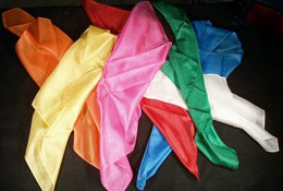 Silk - 6" RED Dozen