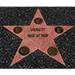 Celebrity Walk of Fame by Jonathan Royle - Video/Book DOWNLOAD