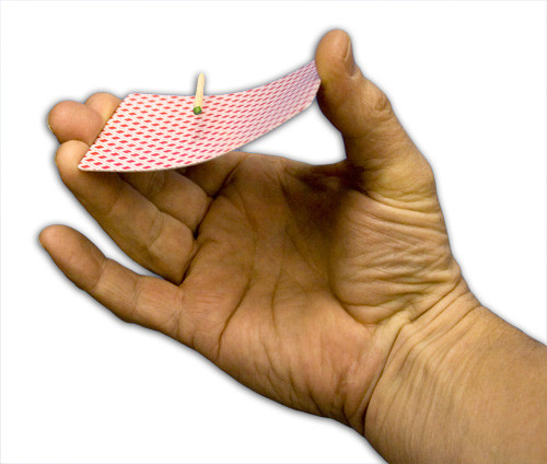 Floating Match on Card - Bee