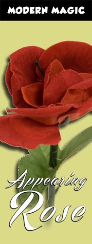 Appearing Rose, Small - Modern