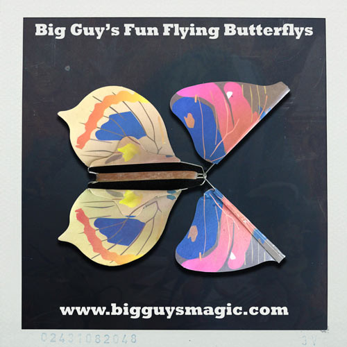 Big Guy's Fun Flying Butterflys - Color Splash
