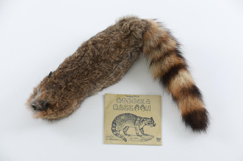 Super Robbie Raccoon