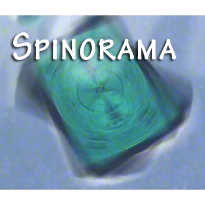 Spinorama by William Lee video DOWNLOAD