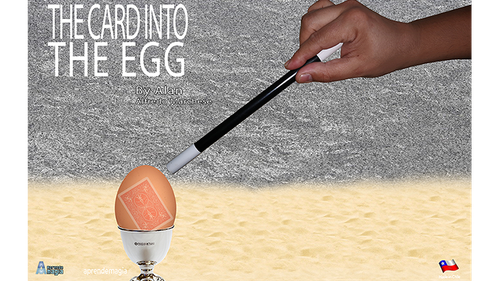 THE CARD INTO THE EGG (Gimmicks and Online Instructions) by Alan Alfredo Marchese and Aprendemagia