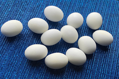 Sponge Egg - Dozen