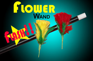 Flash Flower Wand Visual
