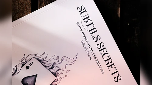Subtle Secrets 1 by Thibault Ternon