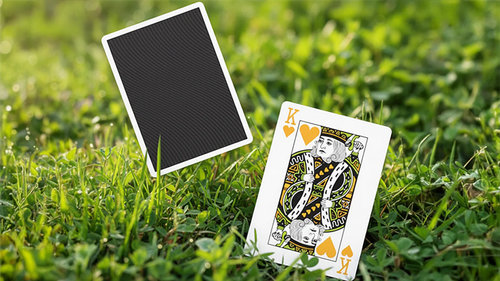 North Wind Beacon Playing Cards by WohStudios