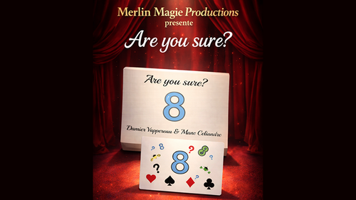 Are You Sure? by Damien Vappereau and Marc Céliandre
