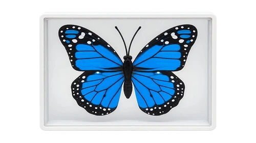Omni Butterfly by Hyde Ren & Bacon Magic