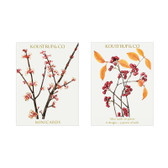 Flowering Winter Giftcards