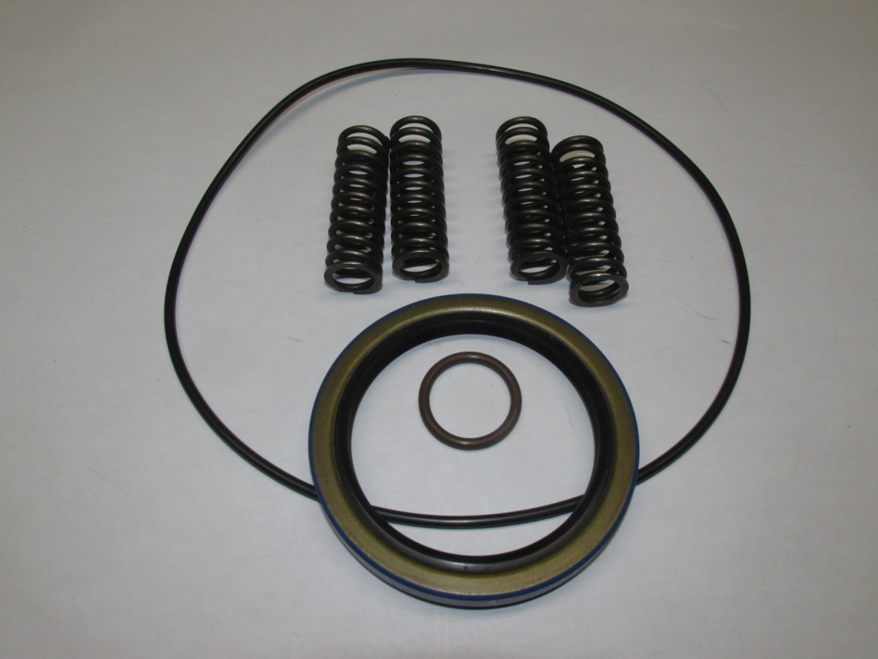 55 Series Brake Seal and spring kit