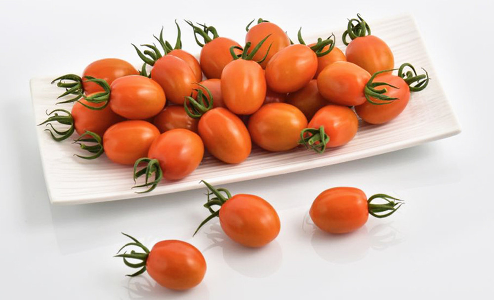 Datterino Tomatoes (Pk 24)