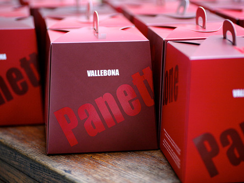 Chocolate Panettone Box (Pk 10)