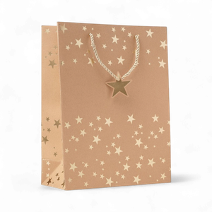 Sparkle festive kraft paper gift bag 250gsm