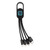 4-in-1 cable with carabiner clip