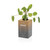 Avira Alya RCS Re-steel tumbler 300ML