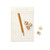 VINGA Coffee table collection box