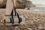[Lifestyle]