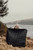 [Lifestyle]