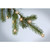 Milky way wooden star LED light string