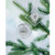 Stainless steel circular decorative ornament with ribbon