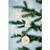 Wooden mdf star shaped decoration hanger