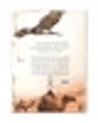 Saint John the Forerunner: Prophet, Apostle, and Martyr