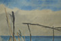 Mid 20th century Original Seaside Landscape, Signed, 1960s Framed