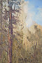 Vintage Oil On Canvas "Forest Of Jylland Denmark" Landscape, Signed In 1978