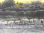 Contemporary Lithography On Paper Lakeside Landscape Painting, By B.J.T In 1990