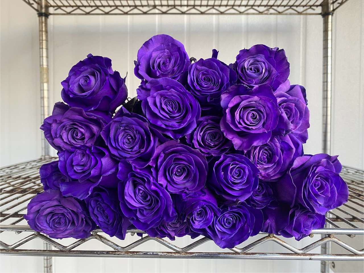 その他 ROSE Purple Tint Roses - 25st. - Ramirez Wholesale Flowers Inc
