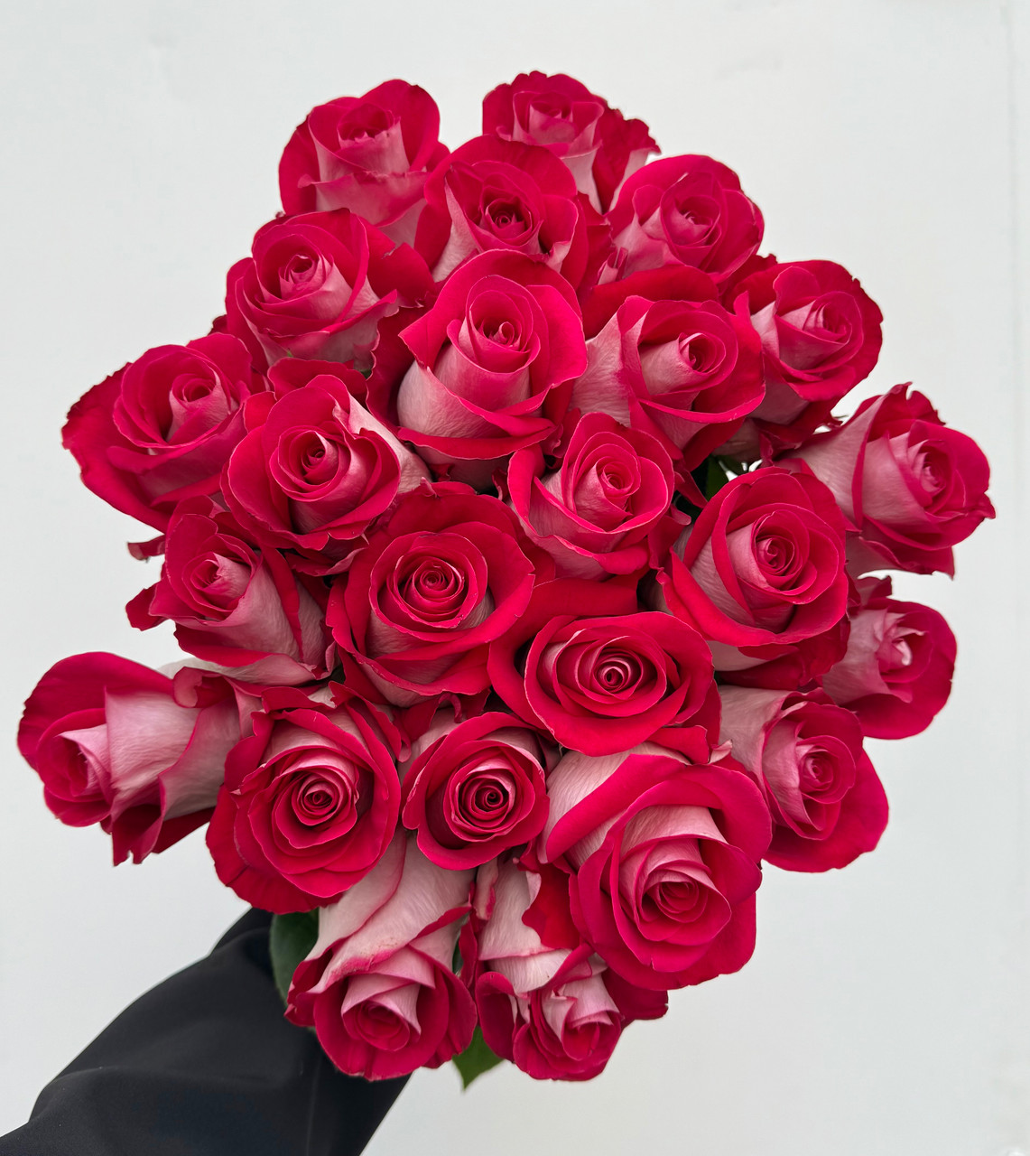 BLUE ROSEです $_57.PNG?set_id=8800005007