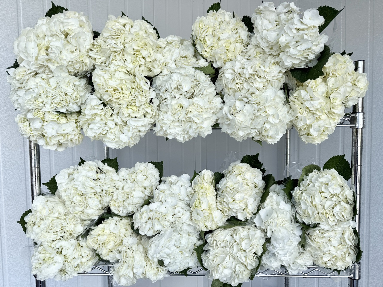 Hydrangea Flowers com: Artificial ♡メモ・デザペ まとめ売り♡ &amp