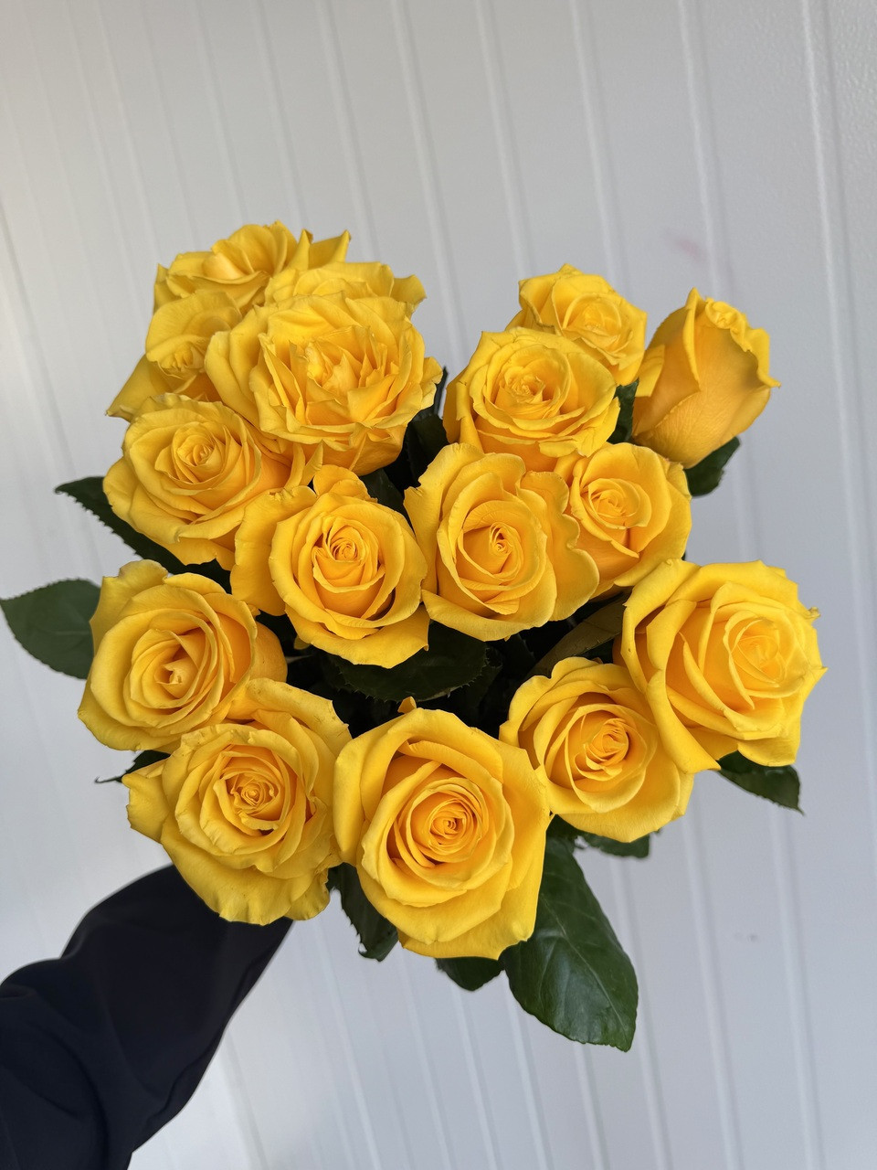 Lighthouse Rose - 25st. - Ramirez Wholesale Flowers Inc