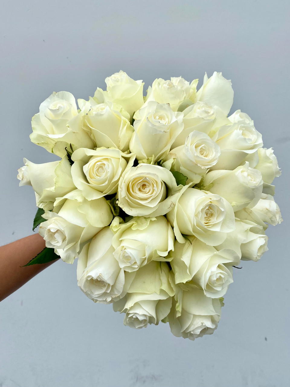 wholesale valentine's romantic luxurious rosas flower