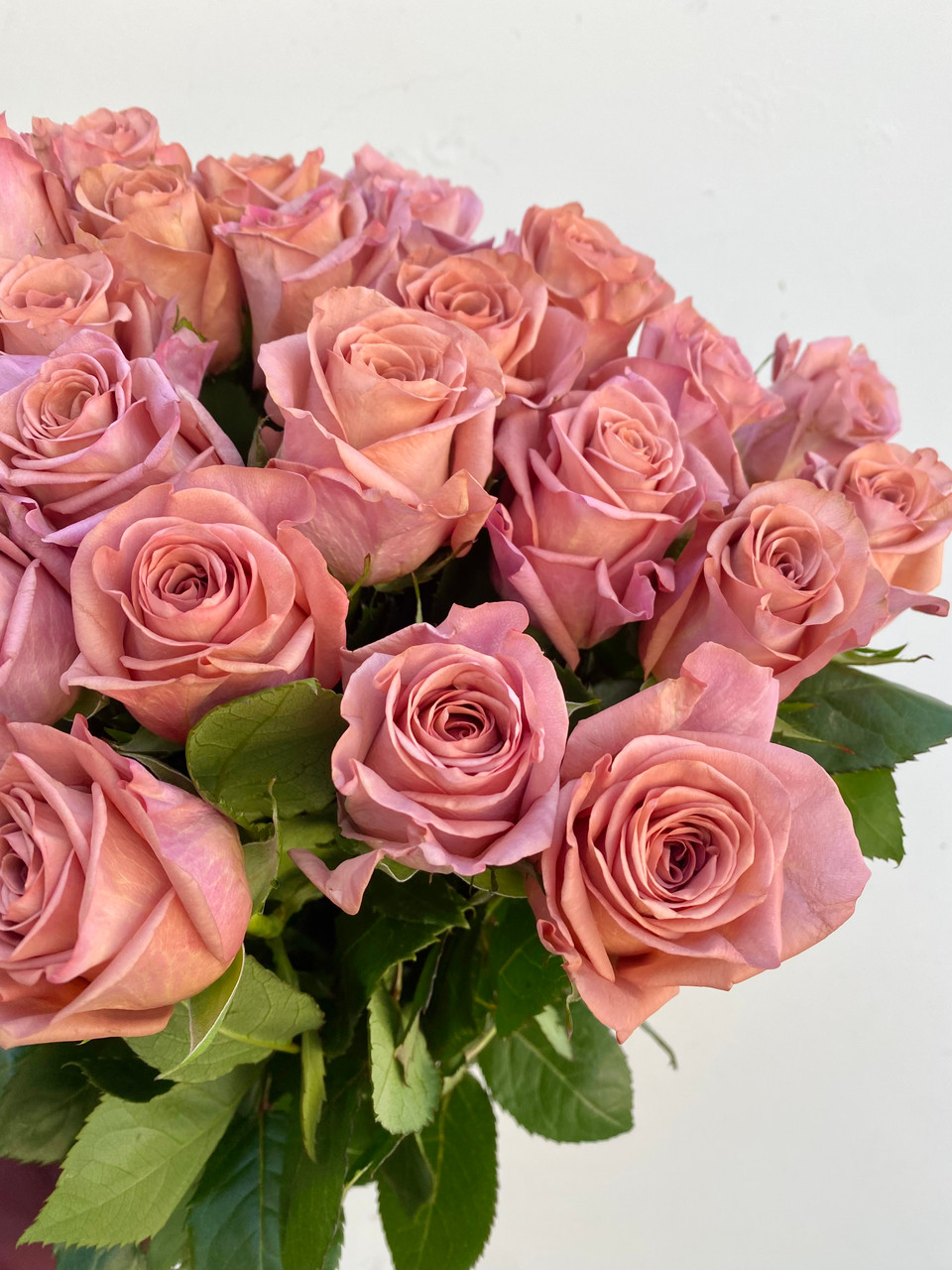 Barista Roses - 25st. - Ramirez Wholesale Flowers Inc