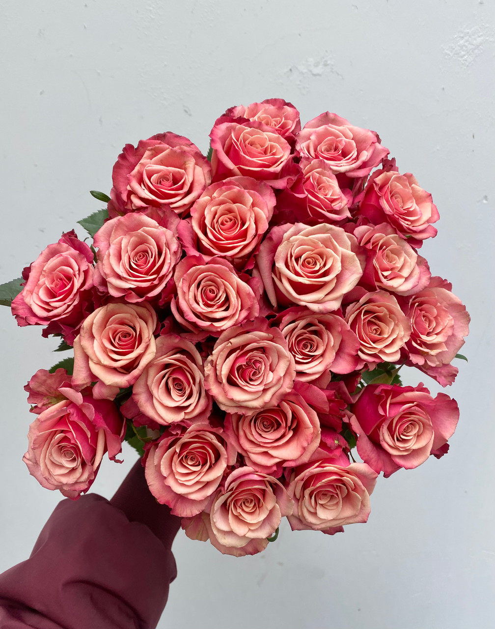 Cold Brew Roses - 25st. - Ramirez Wholesale Flowers Inc