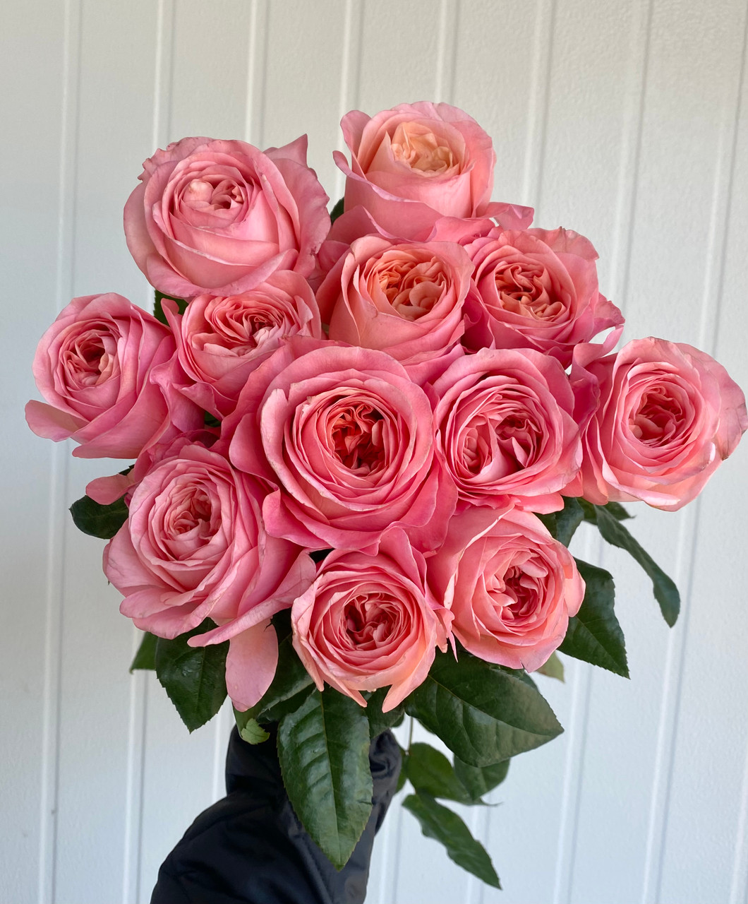 Garden Rose Variety True Love CA-Grown - 12st. - Ramirez Wholesale