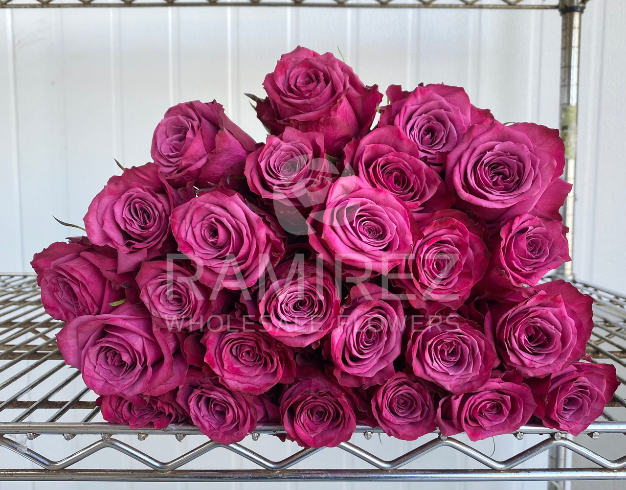 Maisonrubus メゾンルーバス　オーダー　一点物　インカローズ Blueberry Rose - 25st. - Ramirez Wholesale Flowers Inc